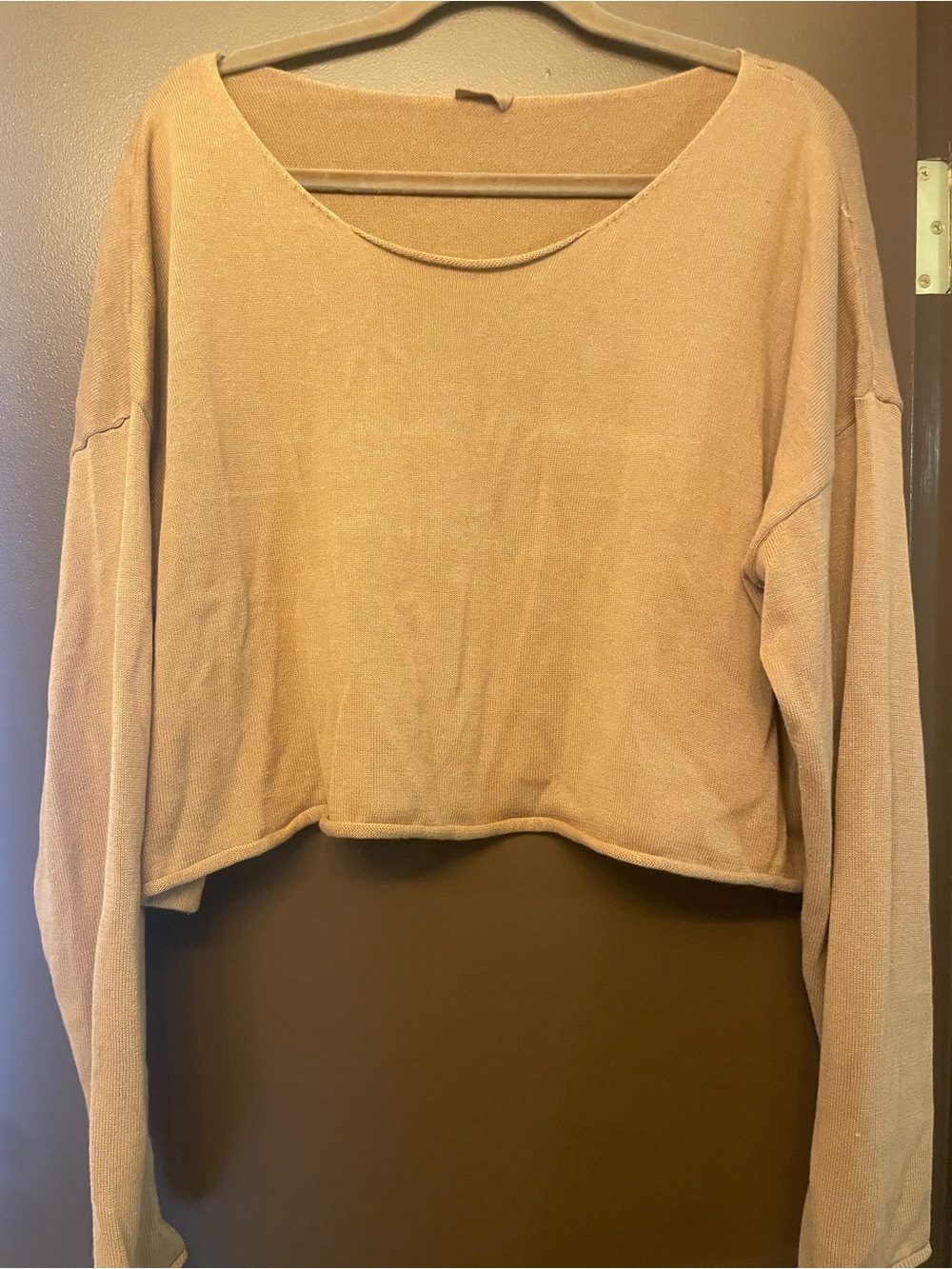 Brandy Melville Cropped Long-Sleeve Scoop Neck Top - Tan